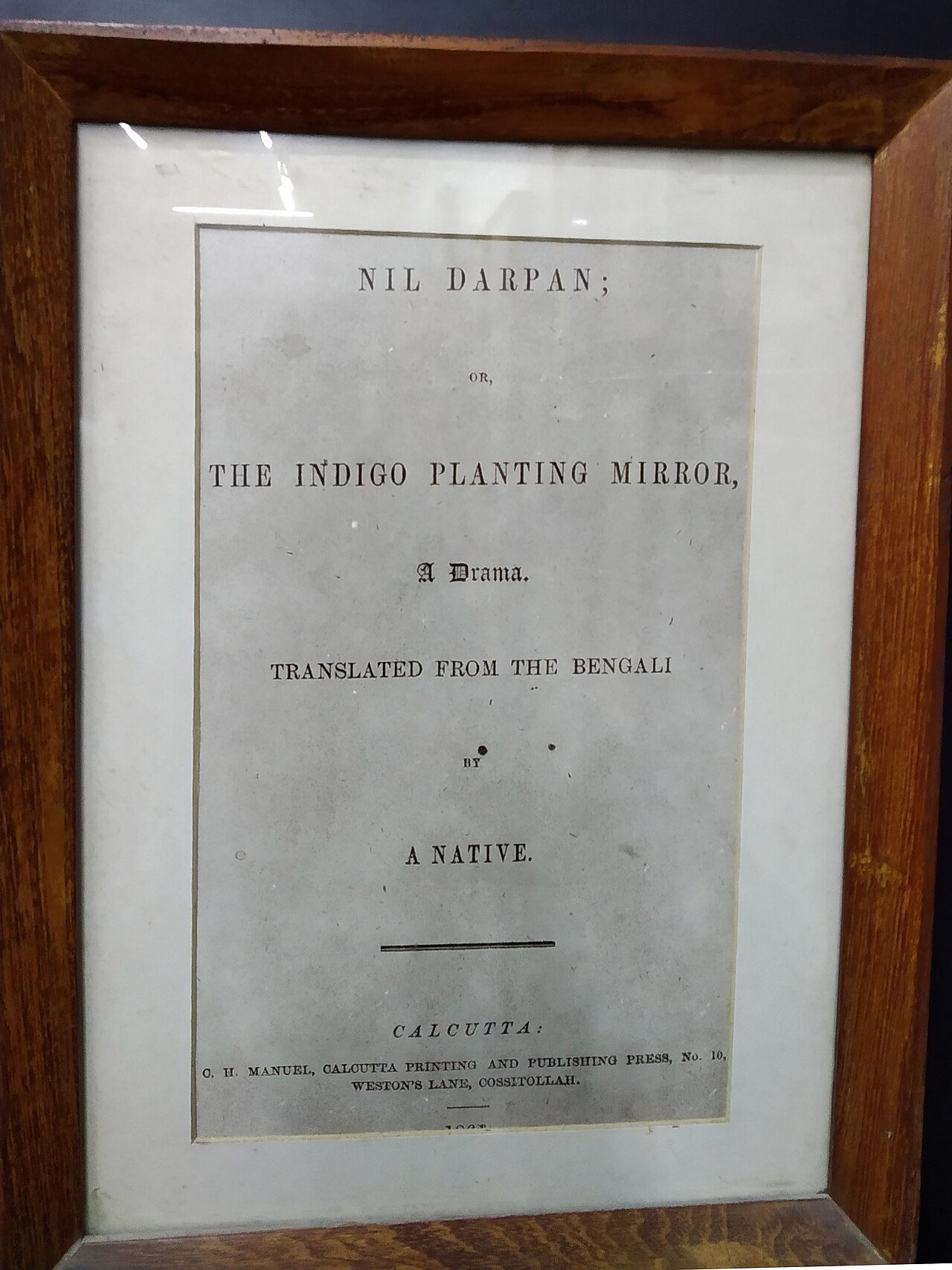 Indigo Revolt in India