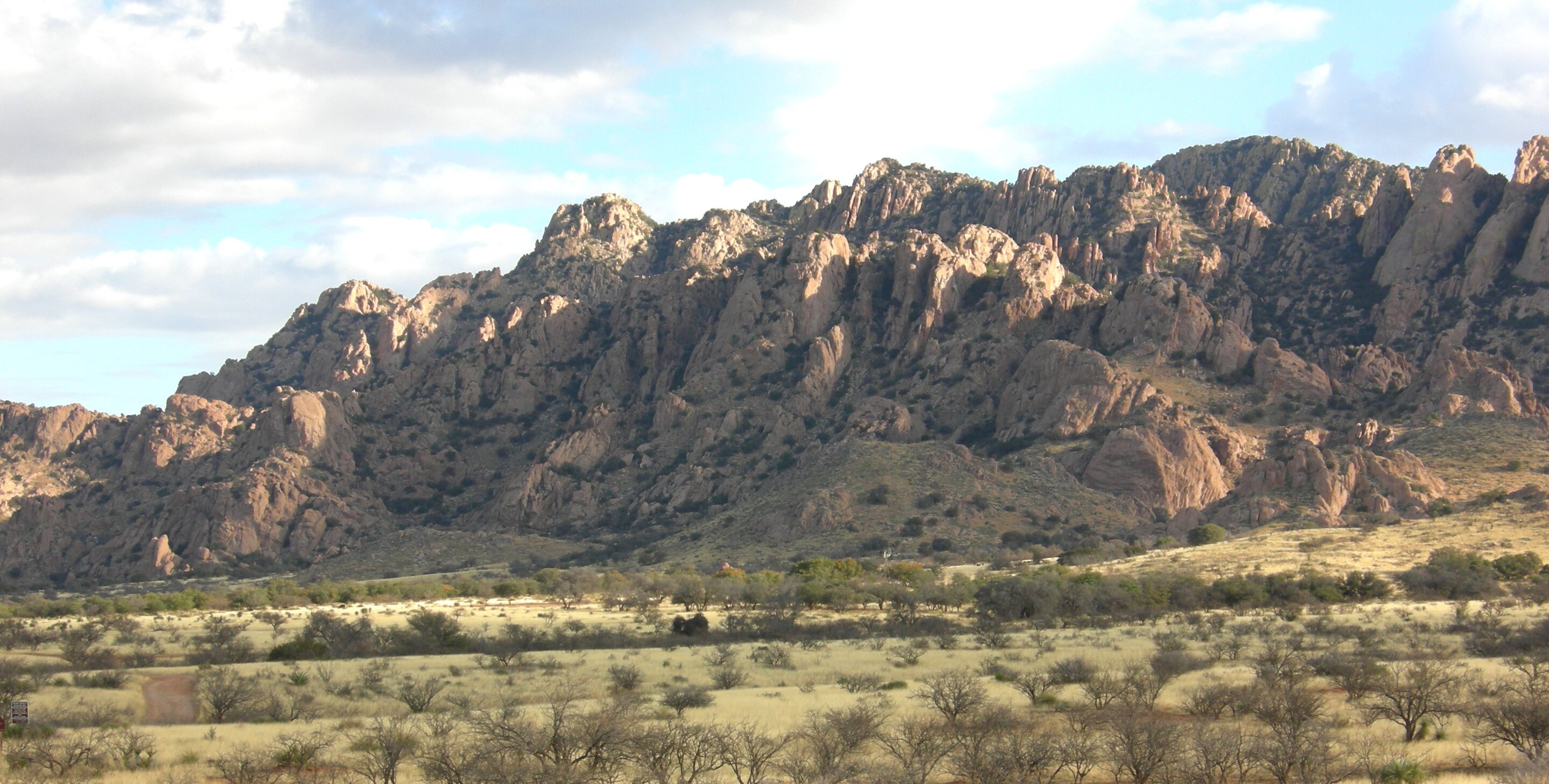 First Battle of Dragoon Springs