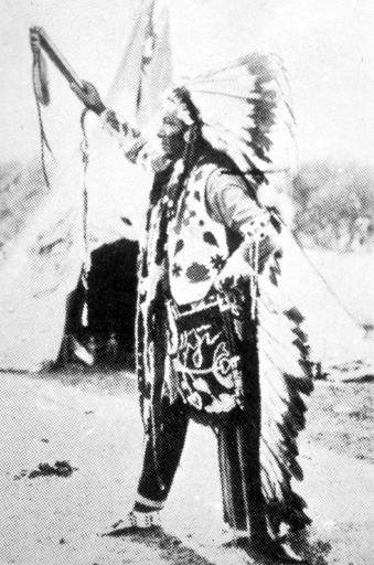 Rain's Defeat, Nimíipuu win
